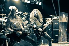 Postmortem - Rock for Roots
