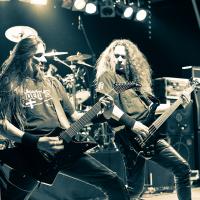 Postmortem - Rock for Roots